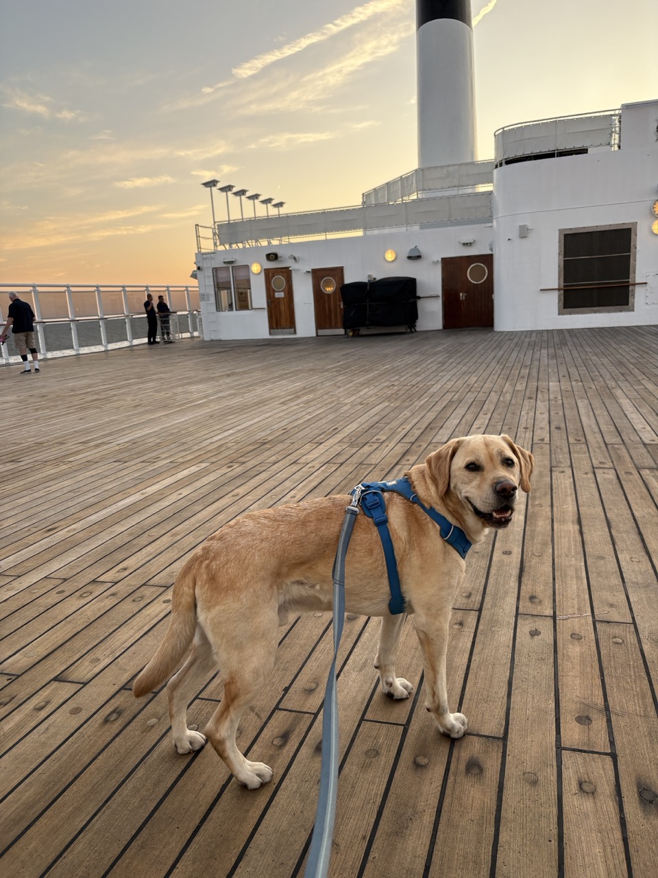 Crossing The Atlantic on QM2 with a Dog