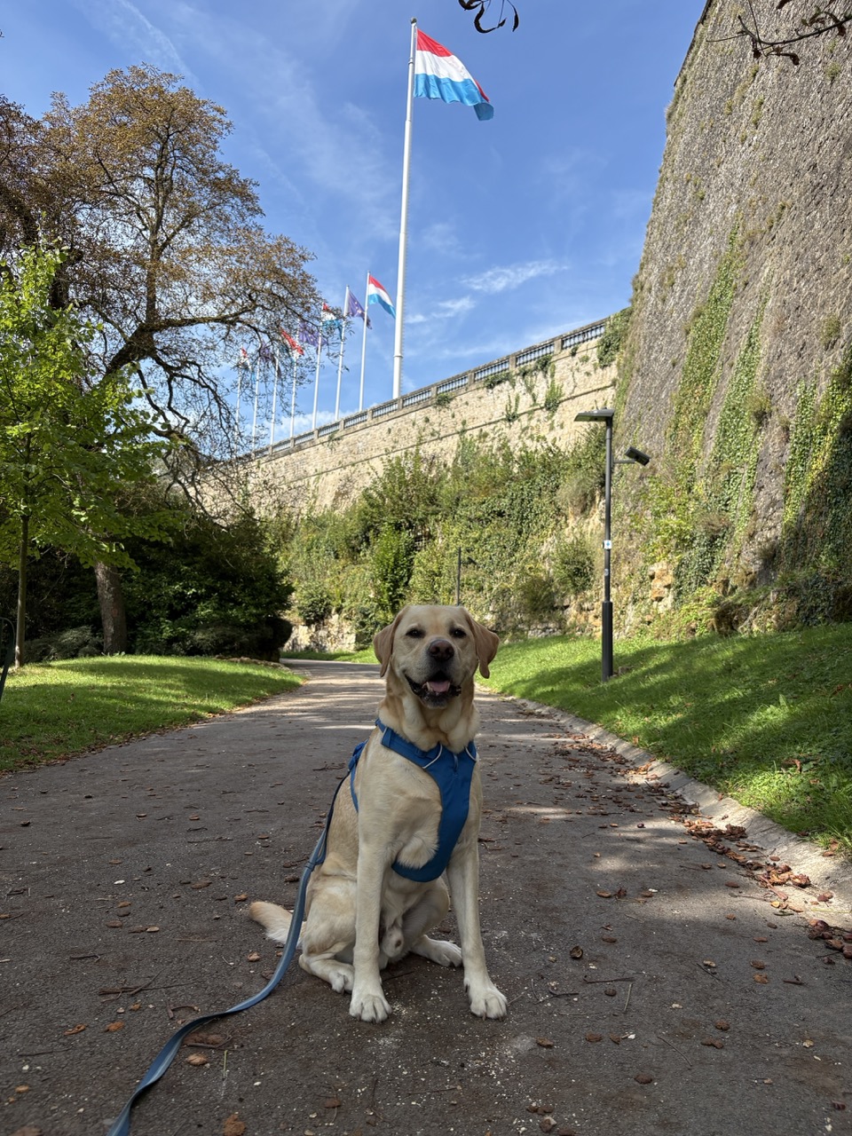 The Belgian Ardennes & Luxembourg