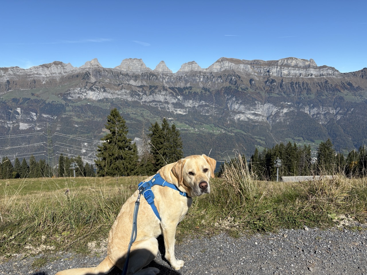 Switzerland & Liechtenstein
